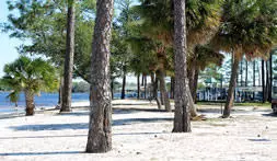 City Parks